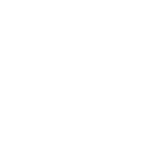 FE